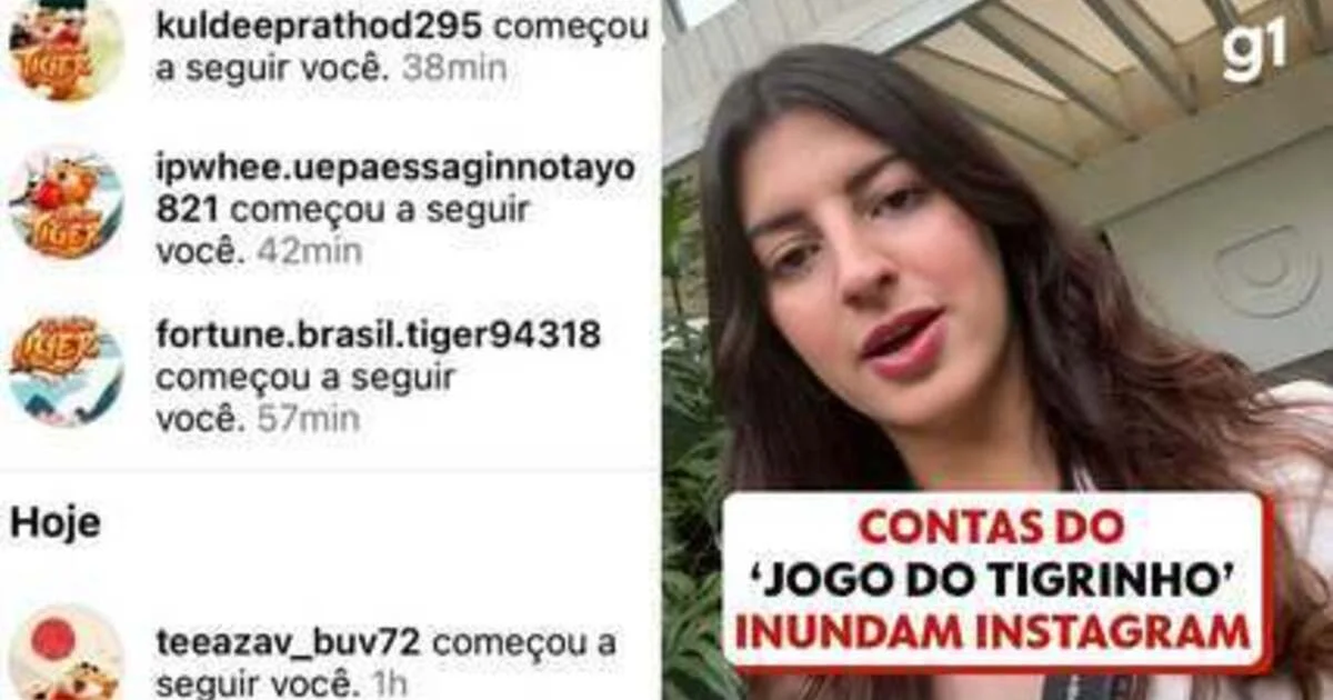apostas esportivas